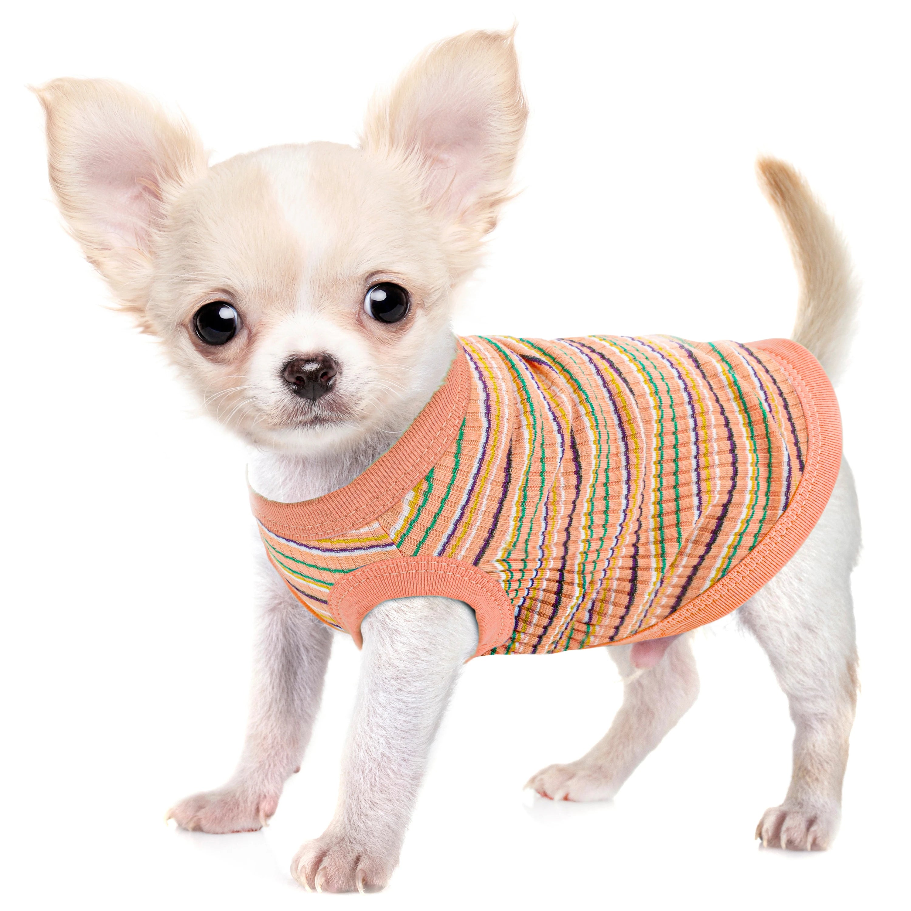 Cotton Pet Sweater Vest for Cats & Small Dogs Chihuahua